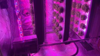 Indoor Farming System