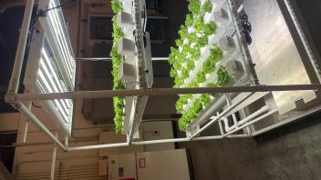 Indoor Farming System